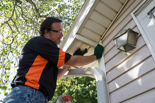 Professional Siding Installation & Repair in Columbus Junction, IA